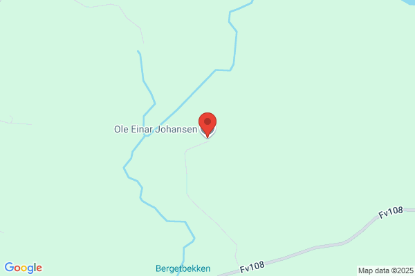 Johansen, Ole