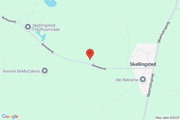 Skellingsted Vandværk