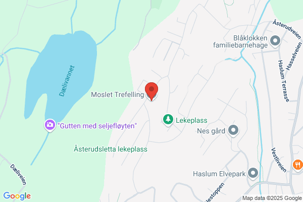 Mårslet Fællesråd
