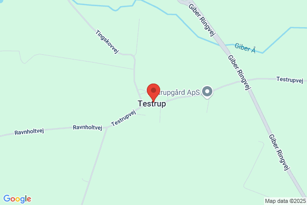 Persson, Torsten