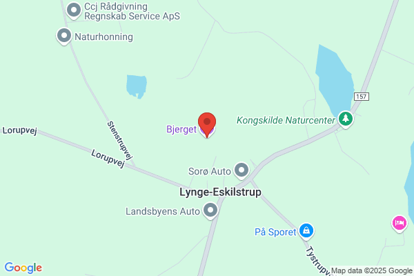 Bjerget
