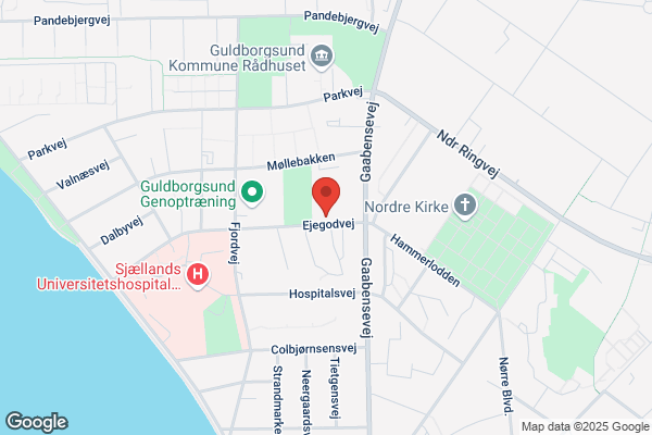 Ejegodskolen SFO