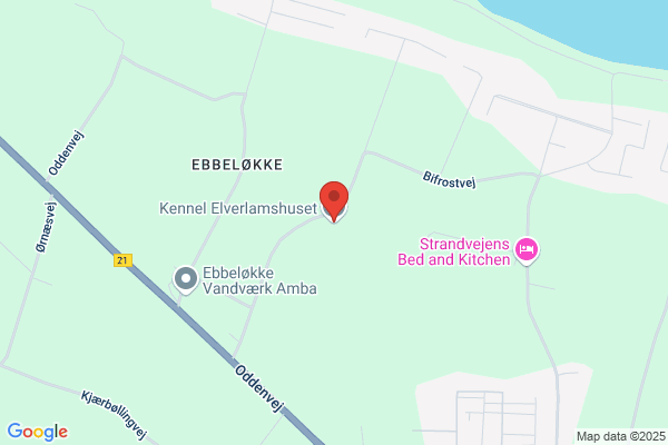 Elverlam (Kurt-Elith Kristensen)