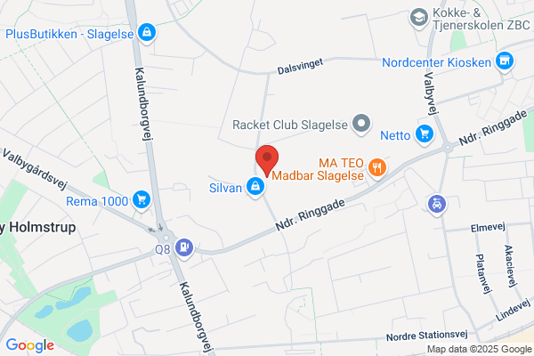 Dansk Skade Service