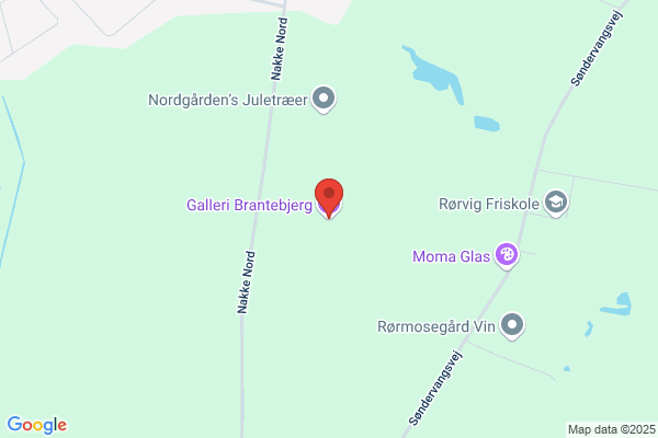 Galleri Brantebjerg