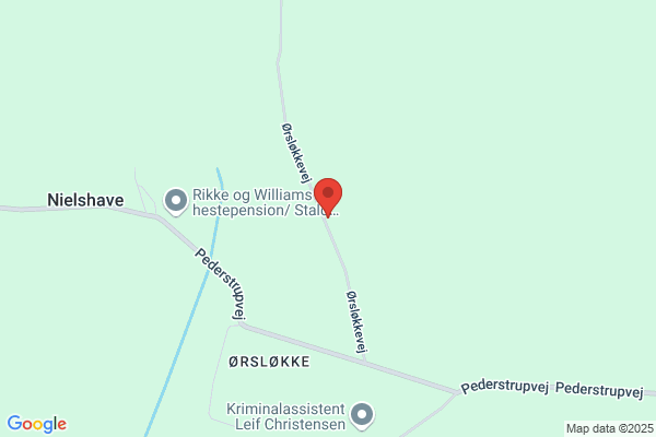 Fuglevennen Lolland