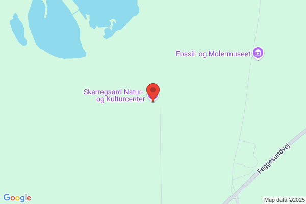 Skarregaard