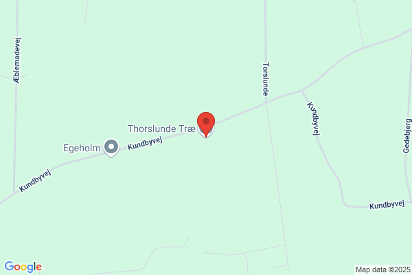 Thorslunde Træ ApS