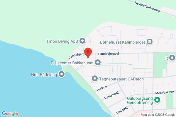 Pergament oversættelse & sprogrevision