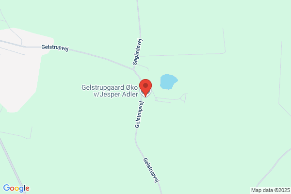 Geerthsen Ole