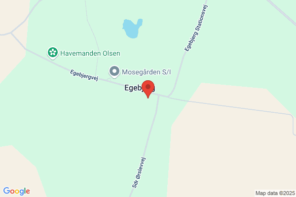 Ipsis
