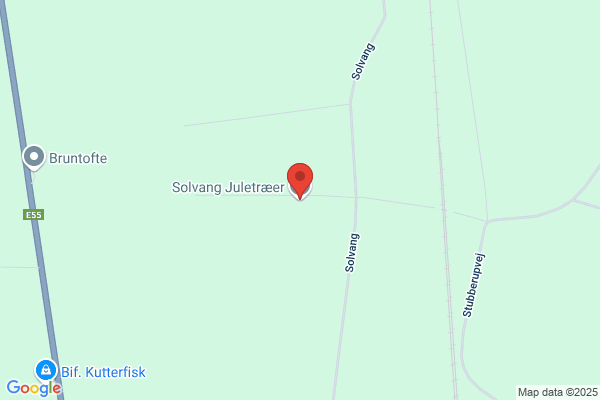 Johannesen, Bent