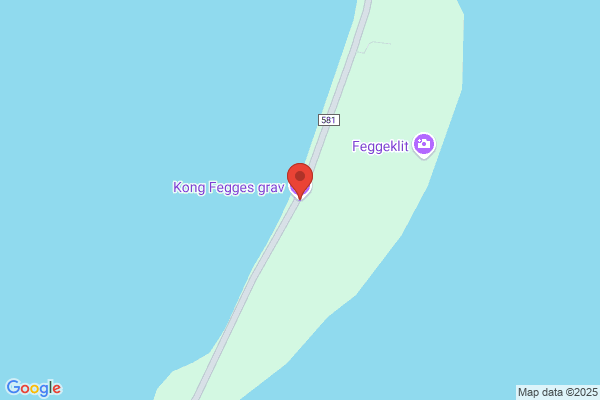 DDS Kong Fegge