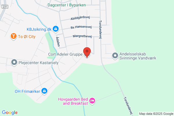 Det danske Spejderkorps, Cort Adeler Gruppe
