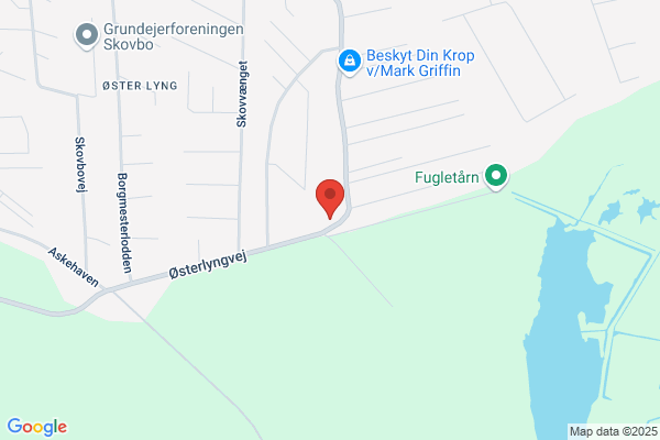 Tømrer Tim