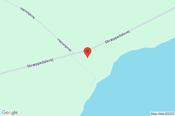Pedersen, Henning