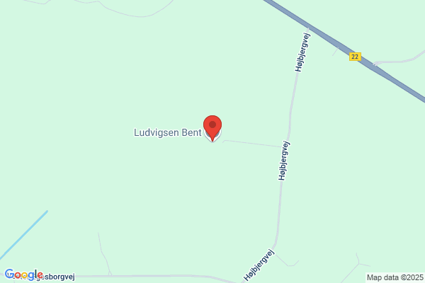 Den Trafiktekniske Konsulent (Henrik Stentz Ludvigsen)