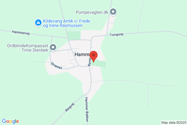 Hammer Autoværksted