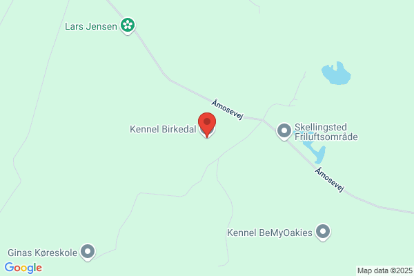 Birkedal Per