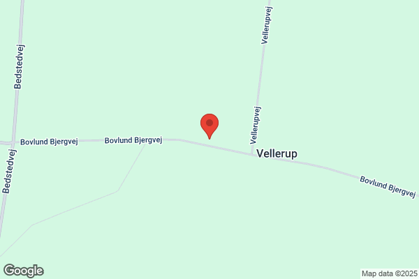 Schmidt Preben Bull