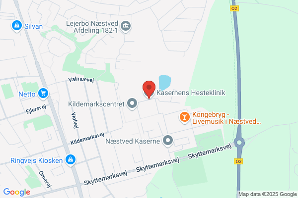 Kasernens Hesteklinik