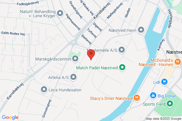 Lodal Niels Elservice
