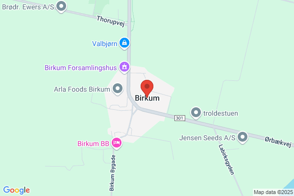 Birkum, Tom & Poul Musikkontoret BIRKUM