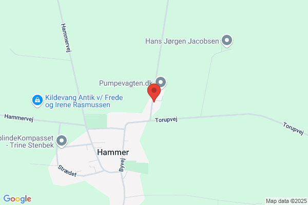 Dansk Venlo Hammer ApS