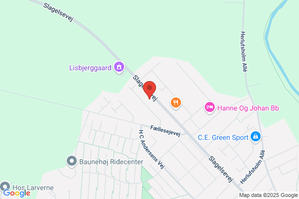 Diætisten i Herlufsholm (Heidi Dreist)