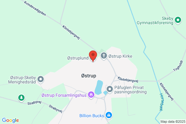 Botilbud Otterupvej 9
