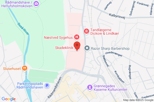 Bloddonorerne i Næstved