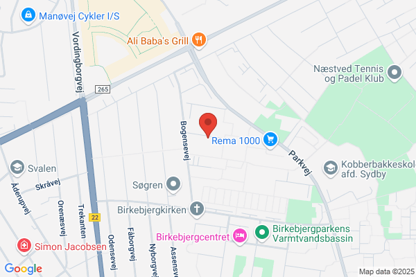 Bjerrum Palle