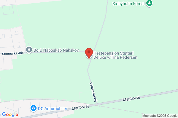 Puddelklubbens Dressur