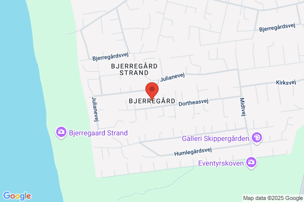Bjerregaard, Martin