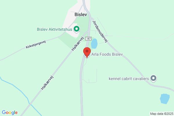 Bislev Vandværk