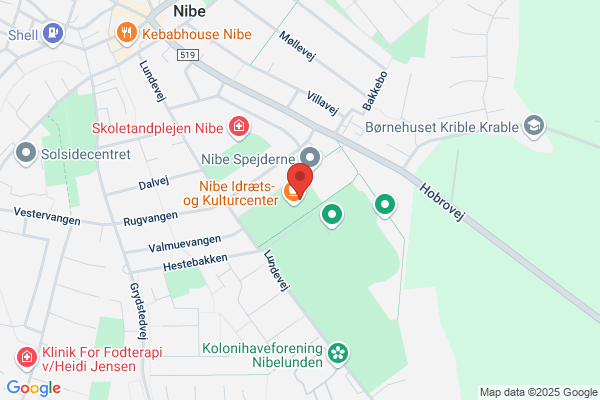 Bislev-Nibe Badmintonklub