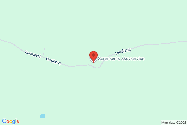 Sillesen, Hans