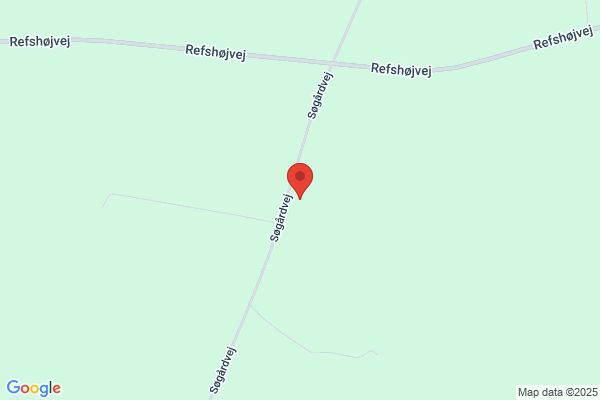 Højvig, Inger