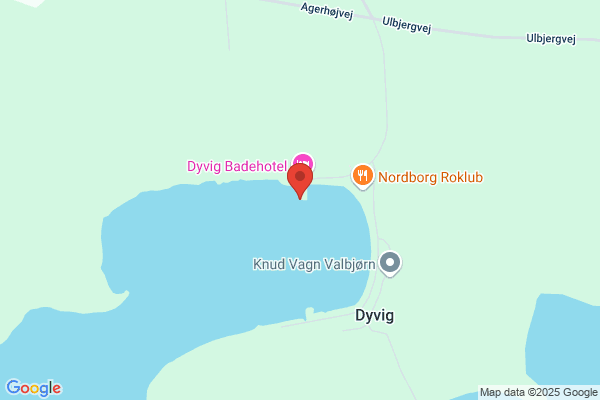 Dyvig Marine