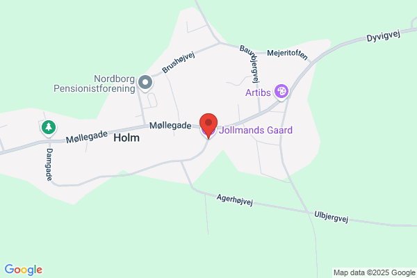 Holm Sognegård