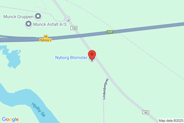 Nyborg Blomster