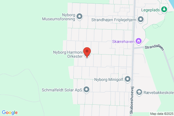 Nyborg Kammerorkester