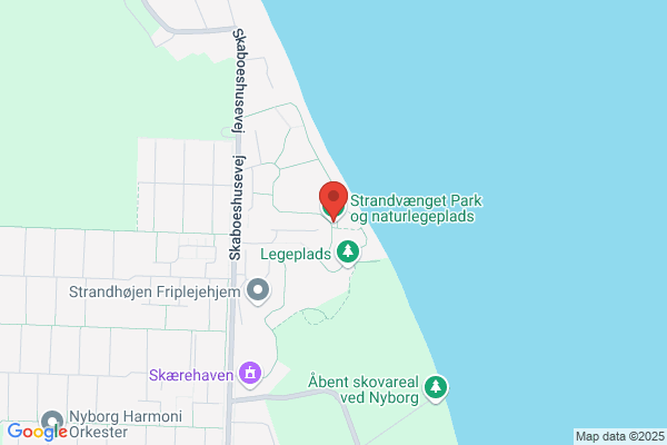 Nyborg Idrætssamvirke