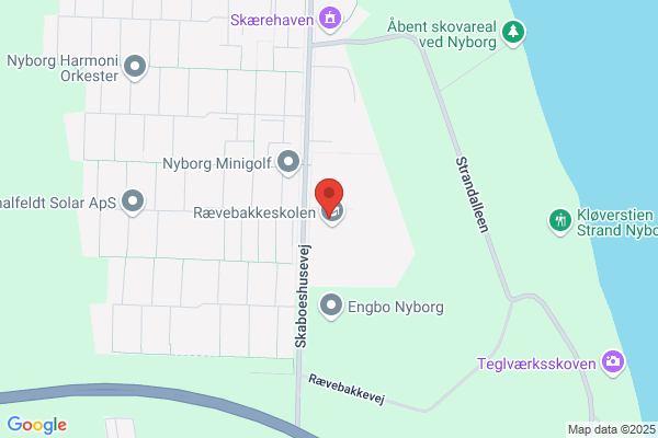 Nyborg Trimvolleyballklub, Fighterne