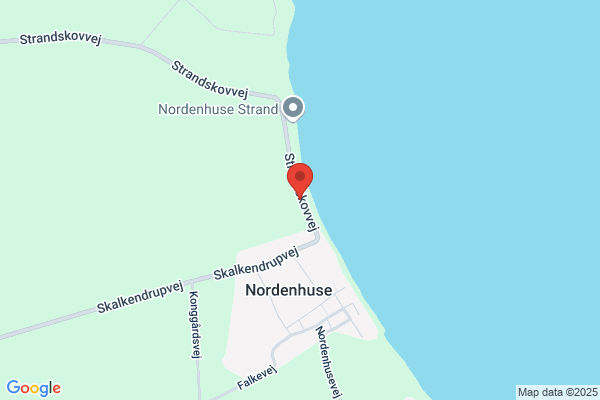 Bendtsen, Jens-H.