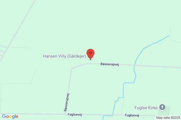 Hansen, Villy