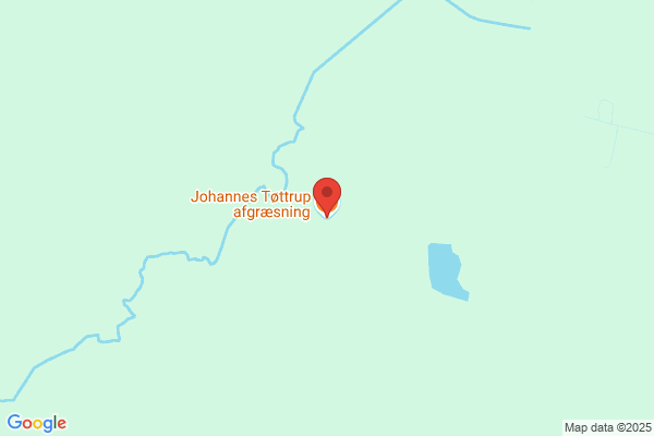 Johannes V, Viseværtshuset