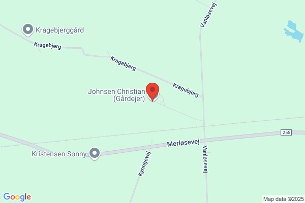 Johnsen , Erik