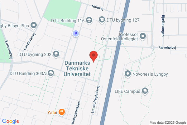 DTU's Drømmepizzaria