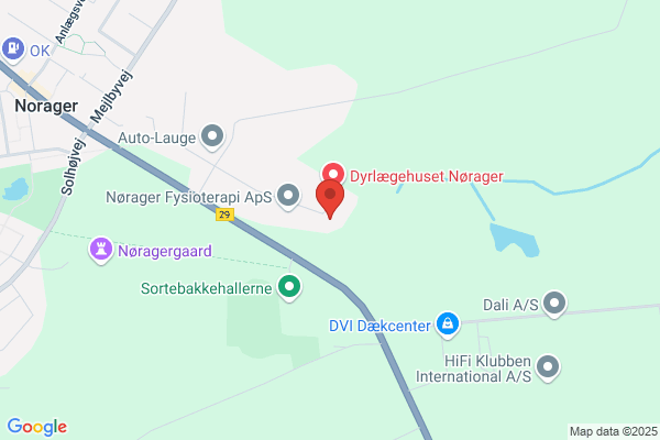FDF i Nørager